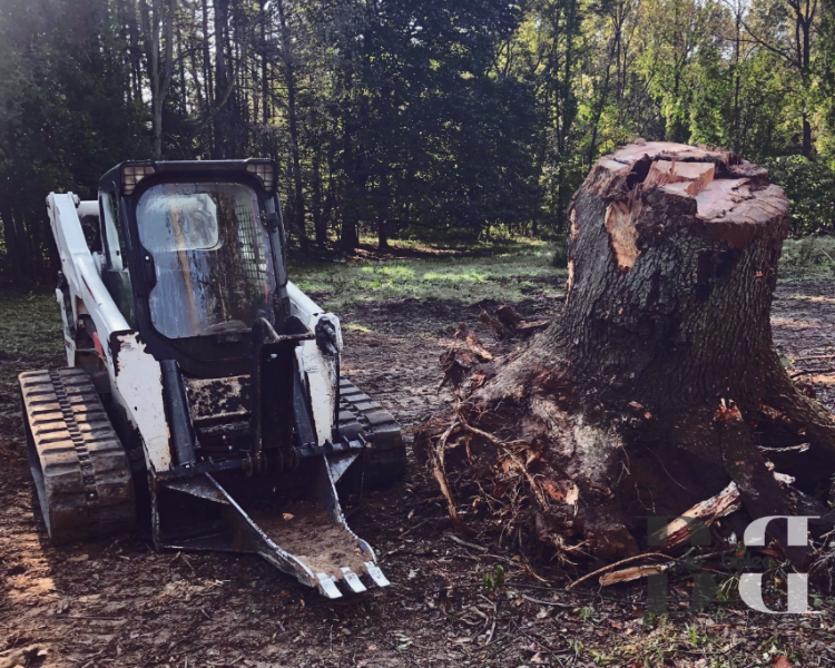 Stump Buckets for Skid Steer Boleo machinery